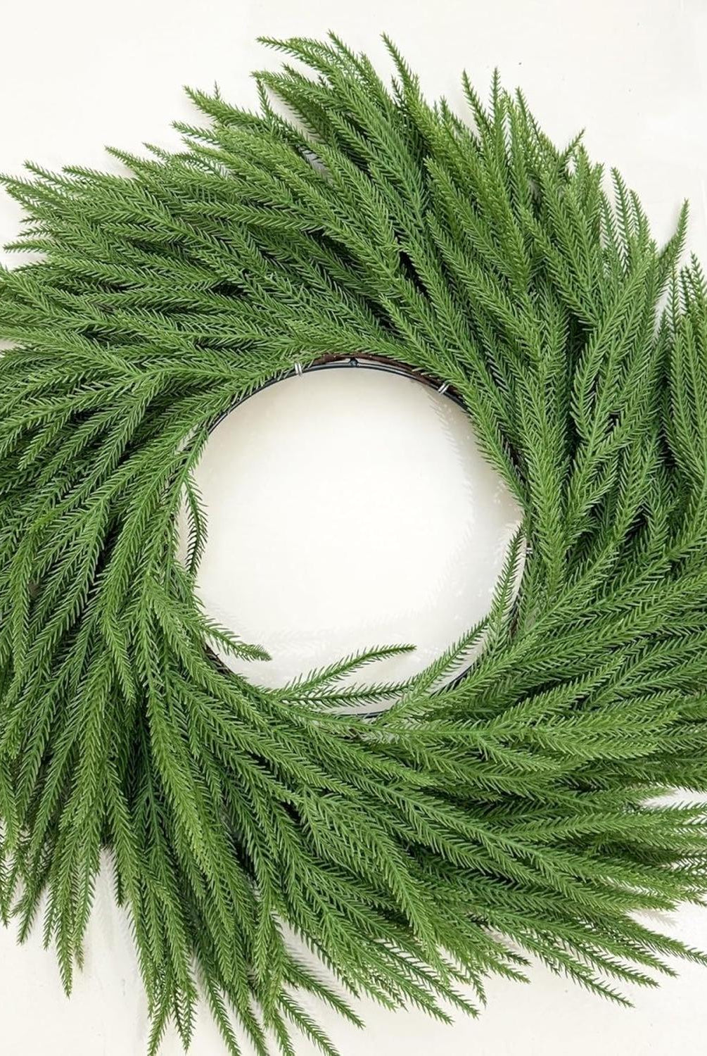 24in Norfolk Pine Wreath w/Bow