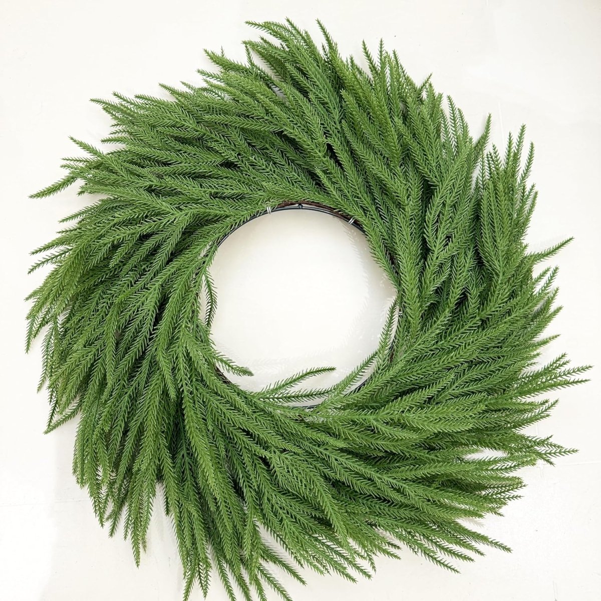 Shop For 24in Norfolk Pine Wreath w/Bow