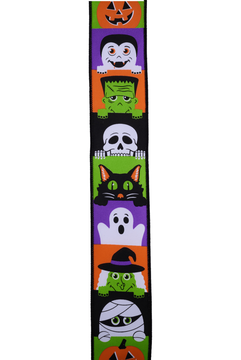 Shop For 2.5" Peek A Boo Ribbon: White (10 Yards)