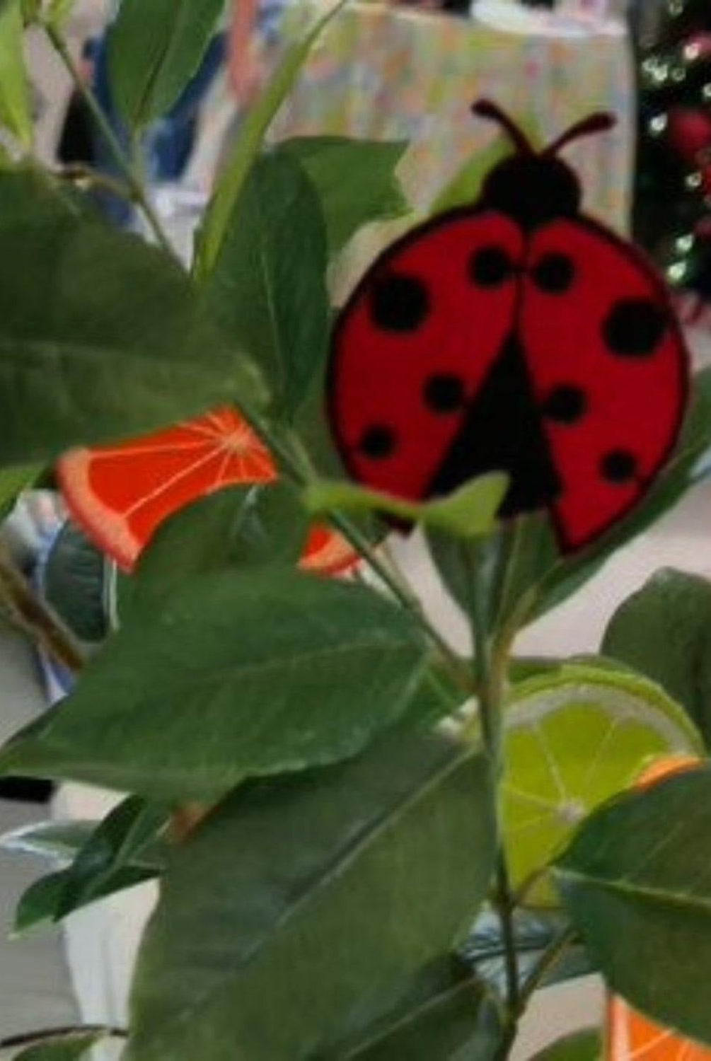 2.5in Felt Embroidery Lady Bug Garland (5 Yards)