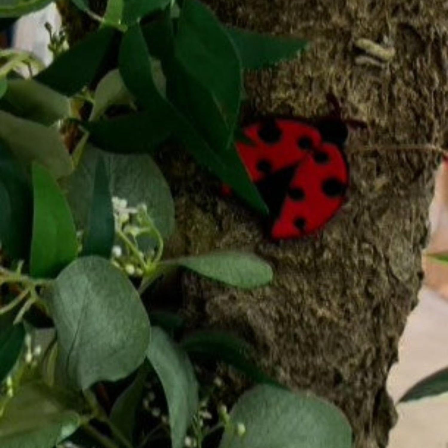 2.5in Felt Embroidery Lady Bug Garland (5 Yards)