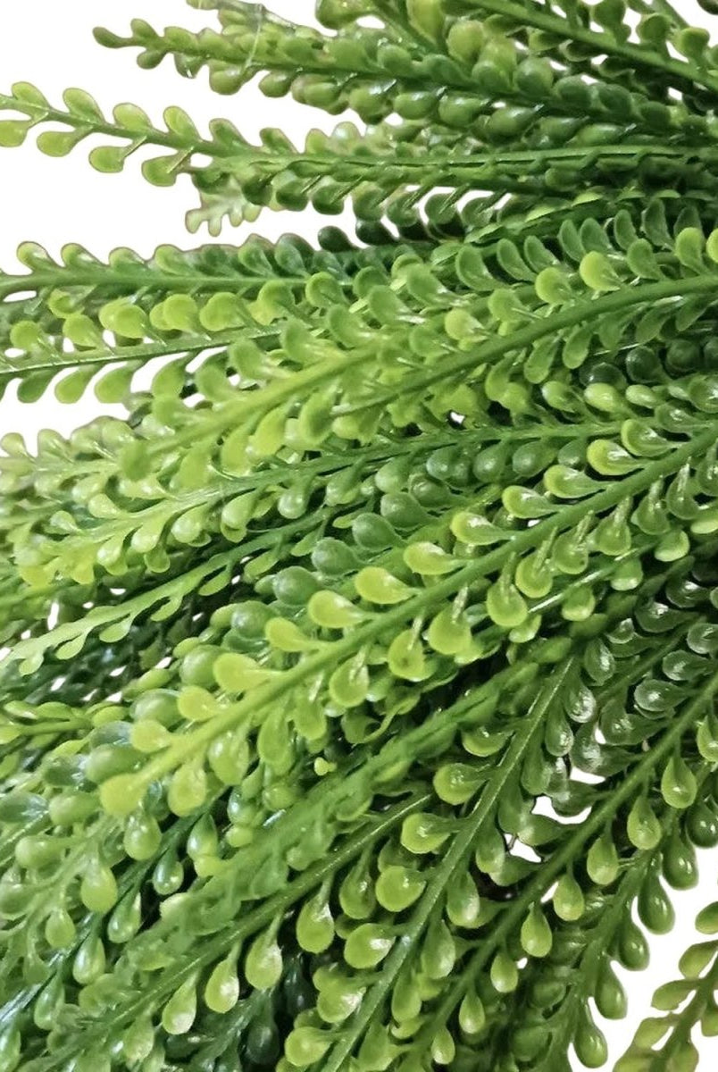 Shop For 26" Oval Draping Button Fern Wreath