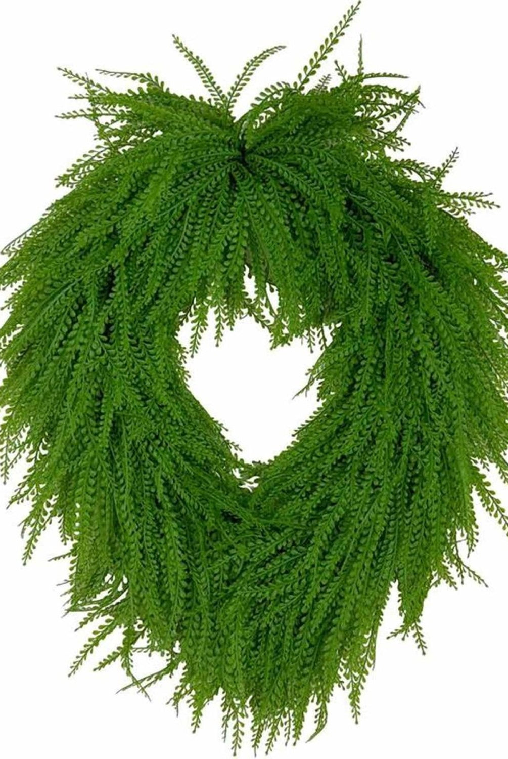 Shop For 26" Oval Draping Button Fern Wreath