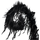 Shop For 28" Furry Spiral Fuzzy Spray: Black