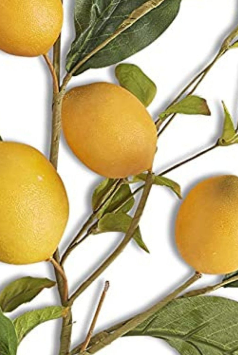 Shop For 28" Lemon and Foliage Stem