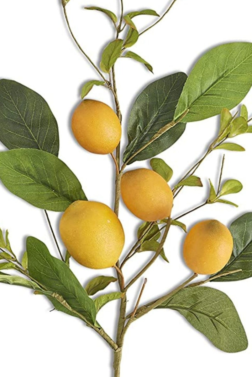 Shop For 28" Lemon and Foliage Stem