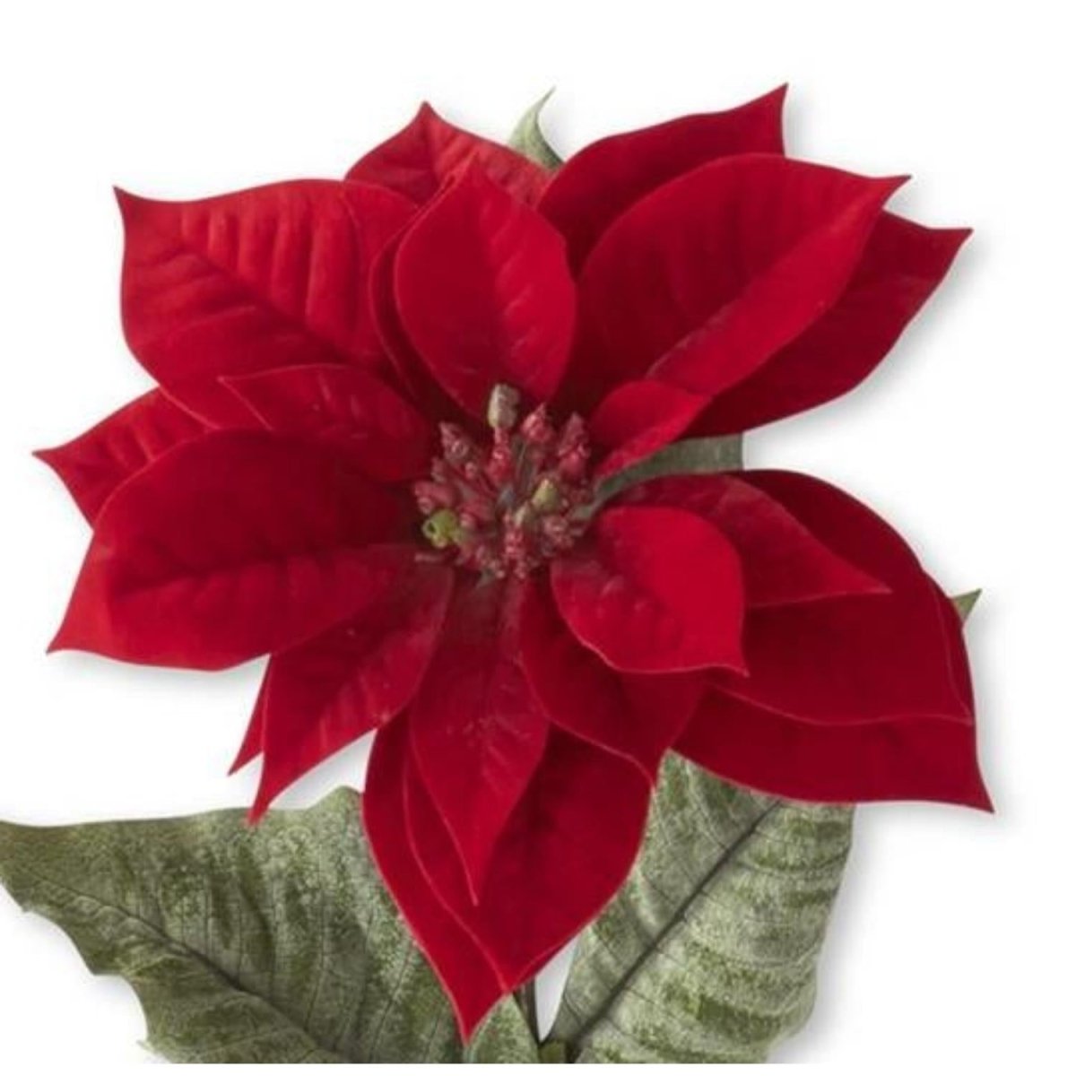 Shop For 29in Red Poinsettia Stem