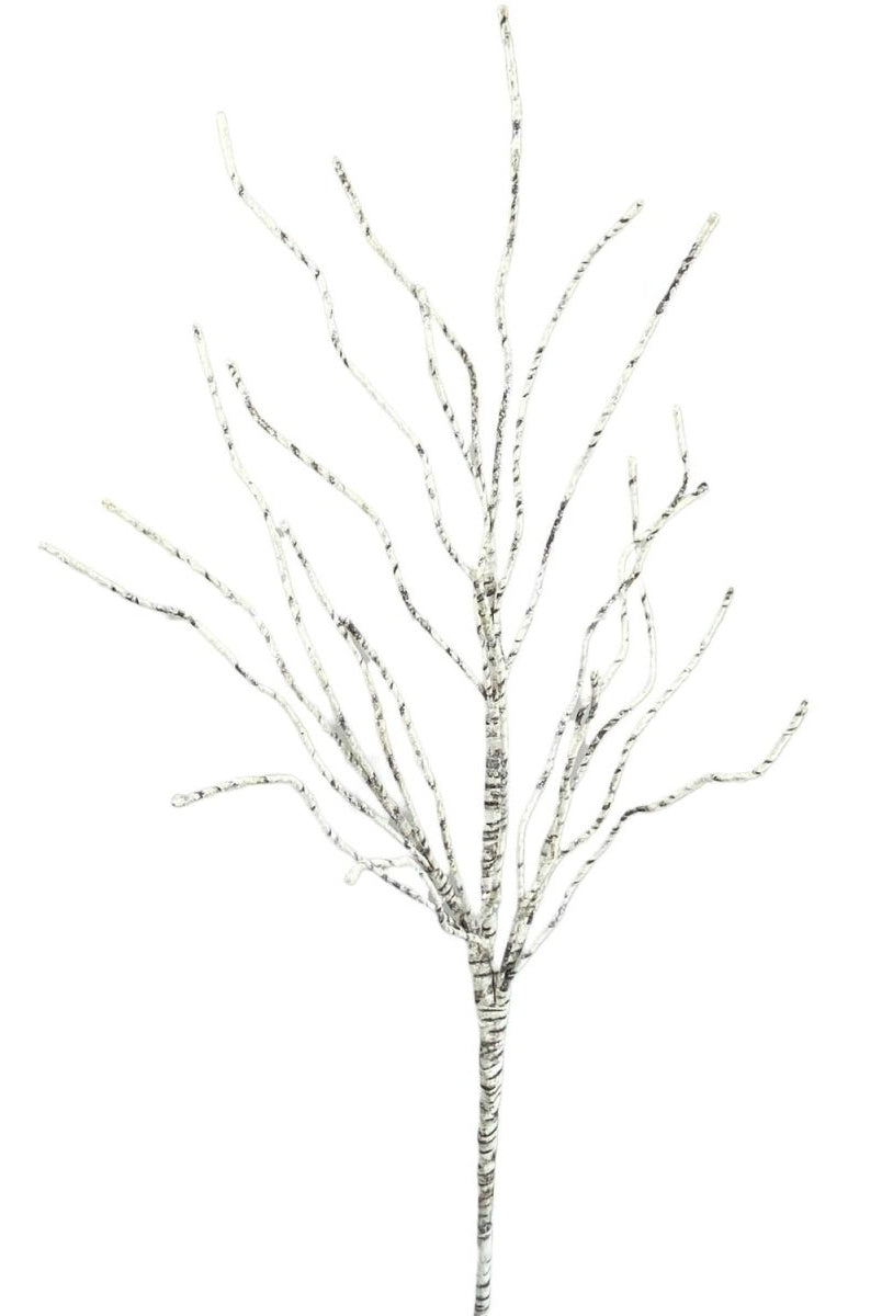 Shop For 30" Birch Spray