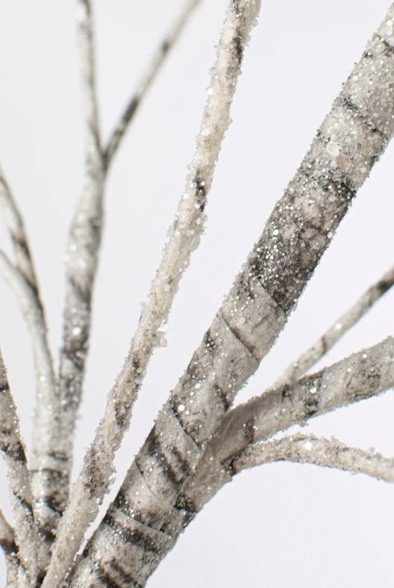 Shop For 30" Birch Spray