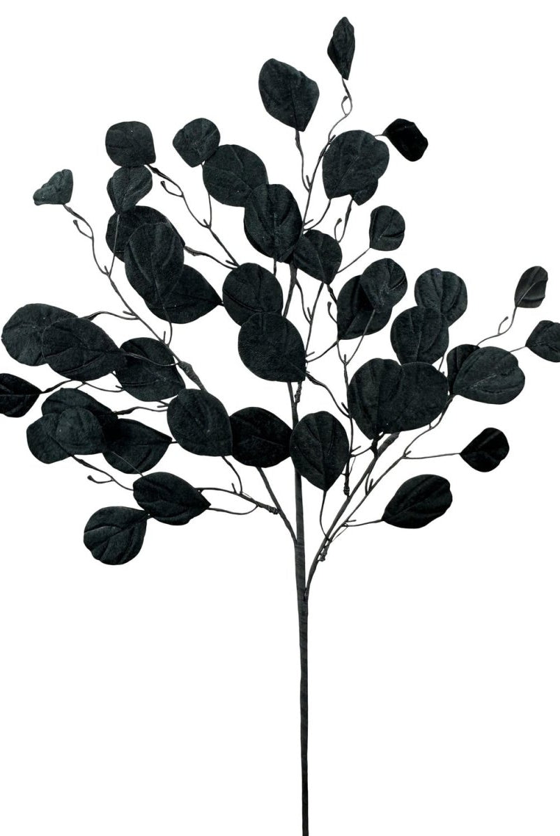 Shop For 30" Eucalyptus Spray: Black