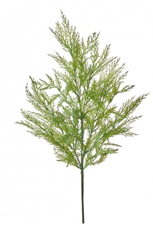 Shop For 30in Plastic Outdoor Cedar Spray