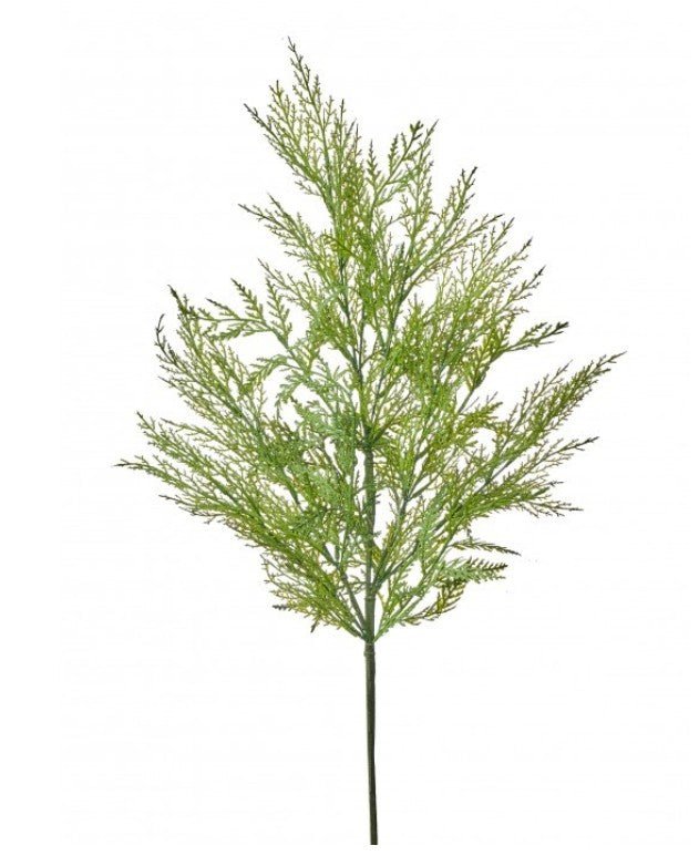 Shop For 30in Plastic Outdoor Cedar Spray
