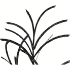 Shop For 31" Glittered Paper Grass Spray: Black