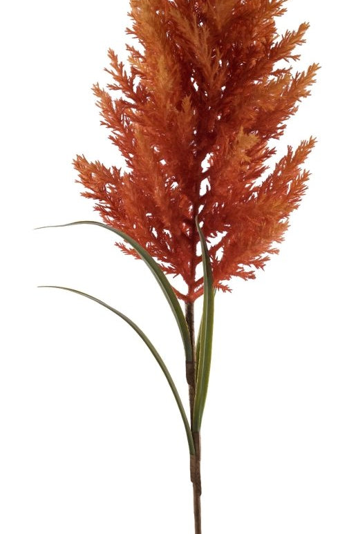 Shop For 31in Pampas Grass Spray