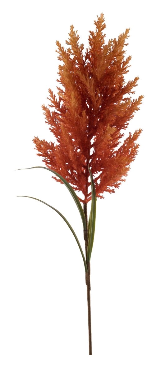 Shop For 31in Pampas Grass Spray