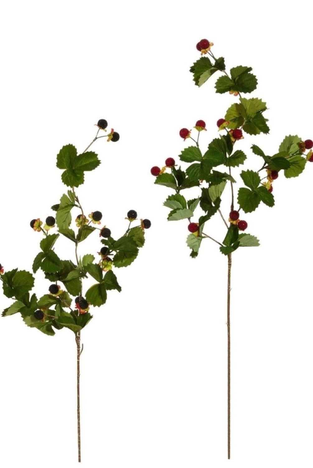 32" Berry Spray