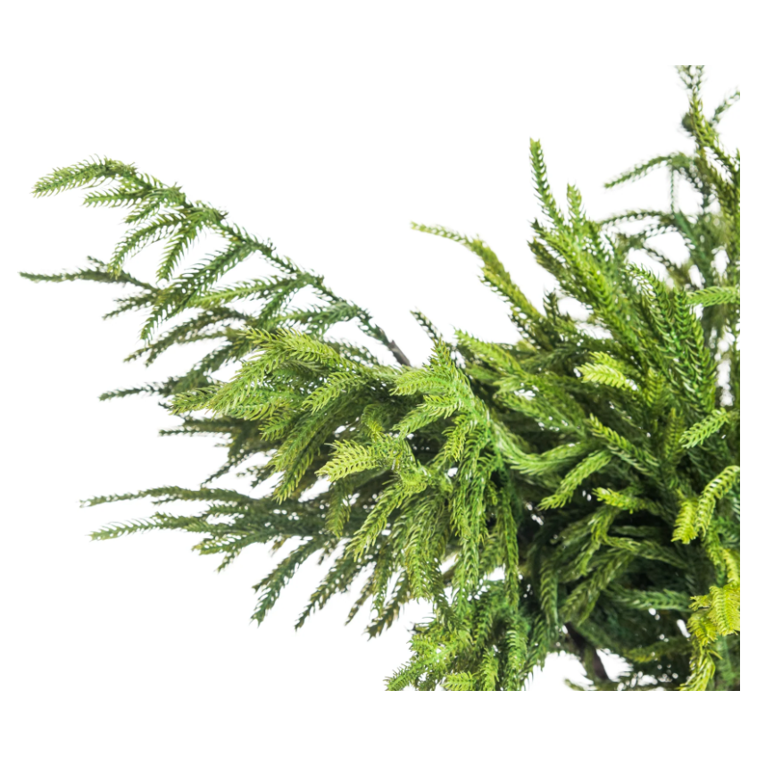 Shop For 33" Norfolk Pine Spray