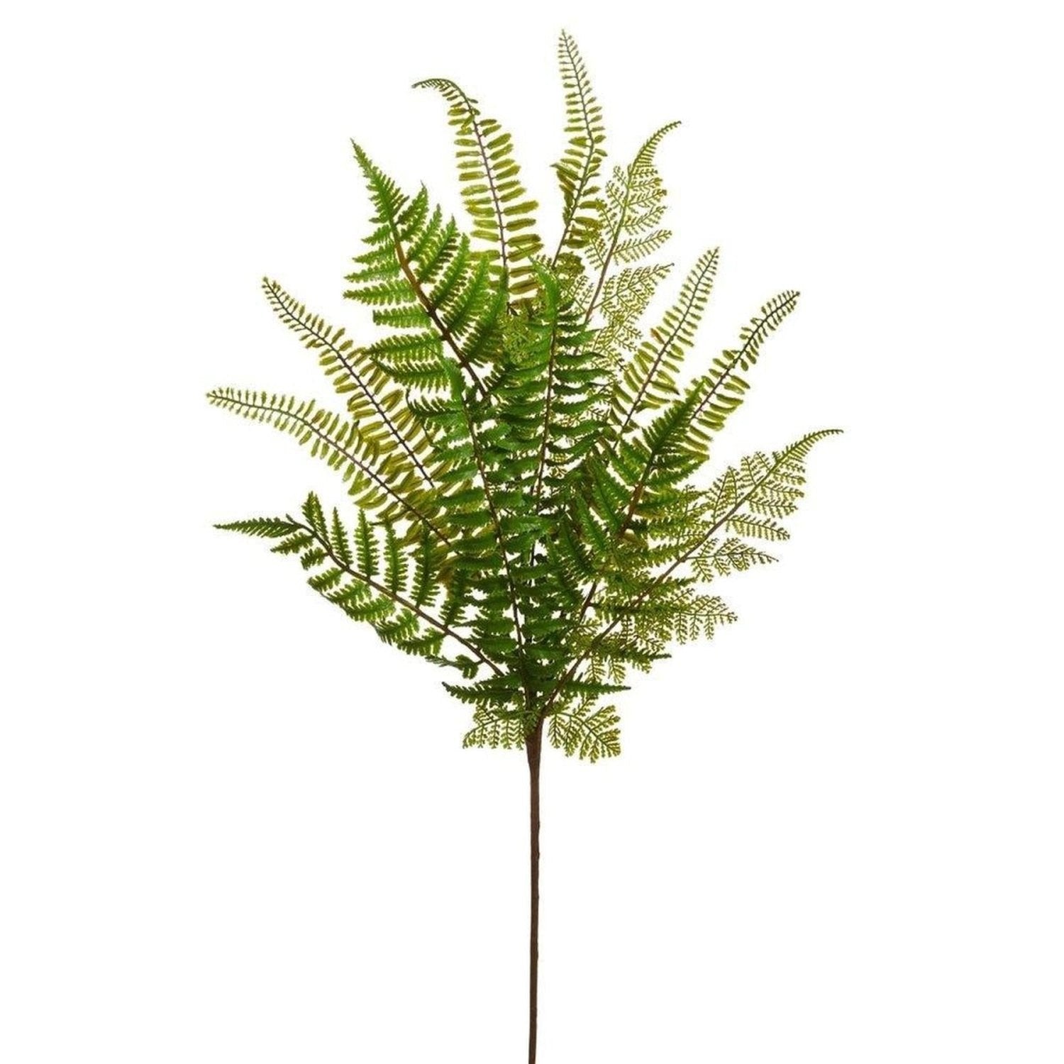 33.5" Fern Spray