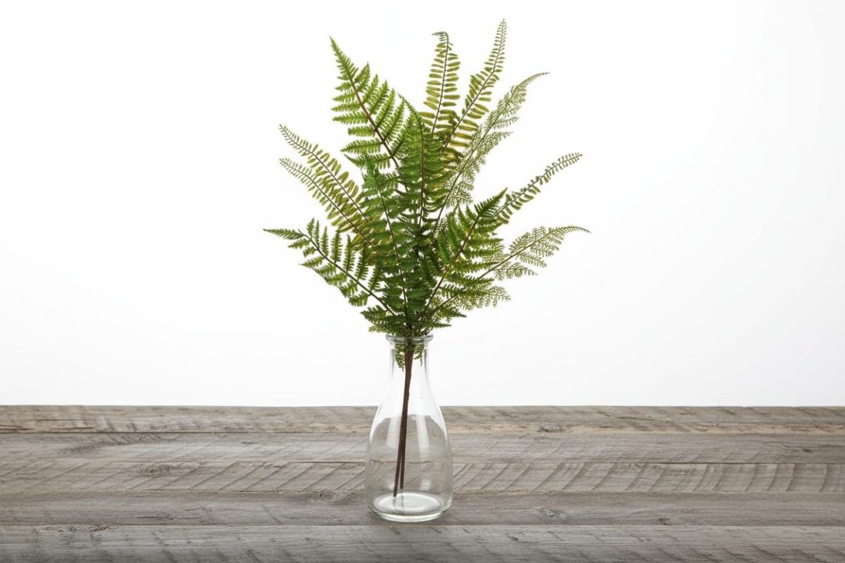 Shop For 33.5" Fern Spray