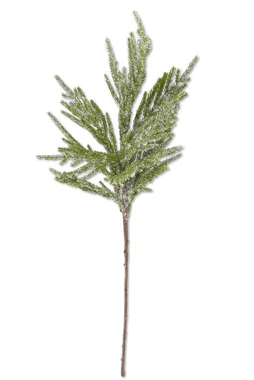Shop For 33in Icy Glittered Norfolk Pine Branch