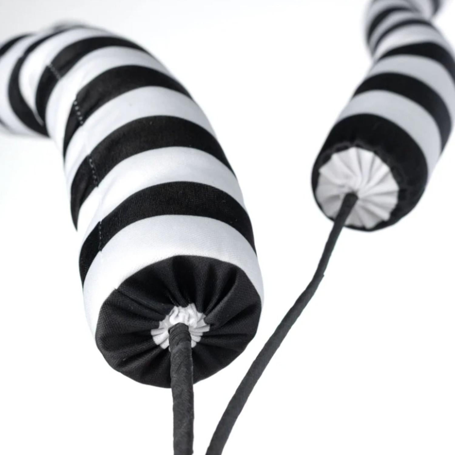 Shop For 34" Stripe Horn Spray: Black & White