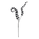 Shop For 34" Stripe Horn Spray: Black & White