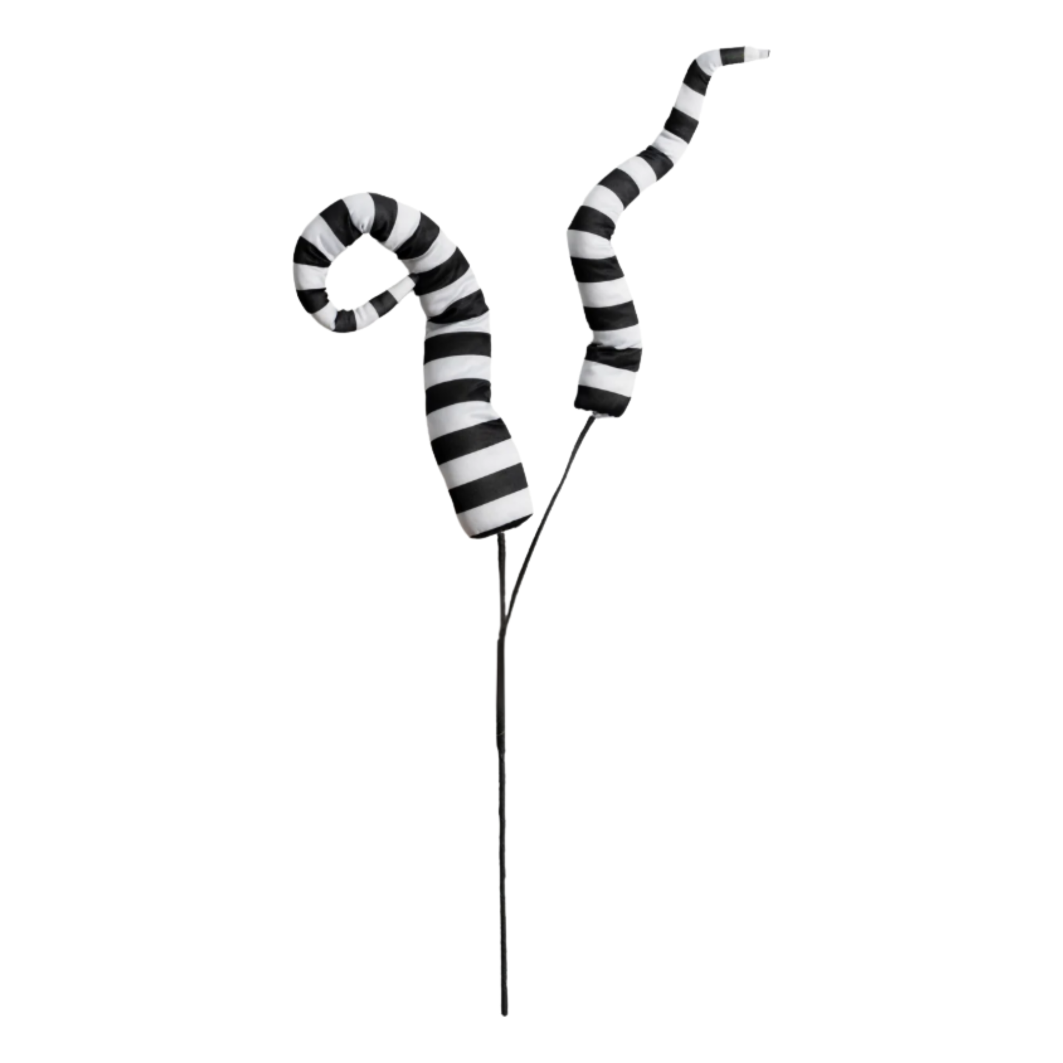 Shop For 34" Stripe Horn Spray: Black & White