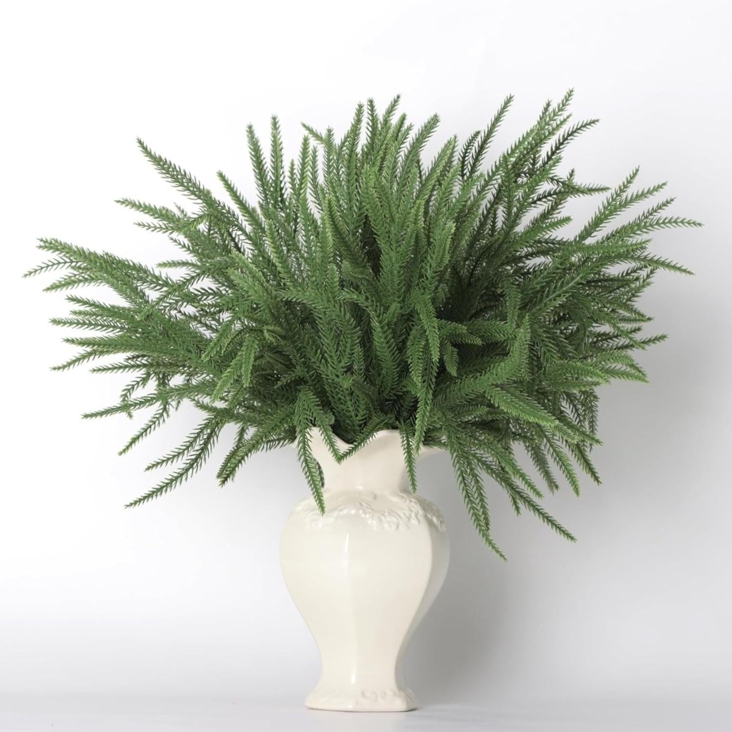 Shop For 36" Norfolk Pine Branch