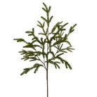 Shop For 36" Norfolk Pine Branch