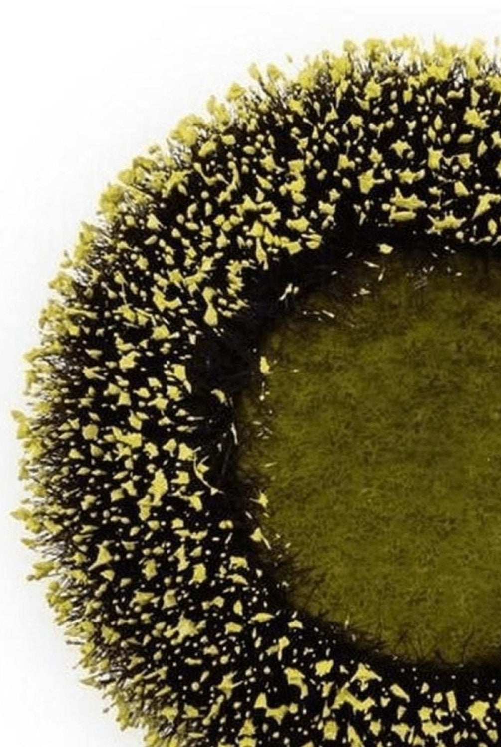 Shop For 4.25" Sunflower Flower Center: Yellow/Black