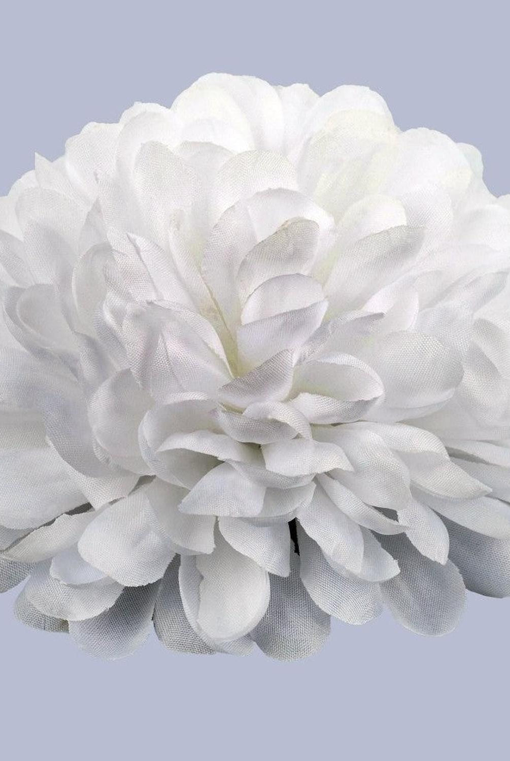 Shop For 4in Homecoming Mum Flower: White
