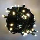Shop For 50 5mm Champagne Warm White, Pure White, Cool White LED Christmas Lights, 6" Spacing