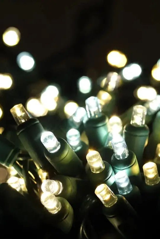 Shop For 50 5mm Champagne Warm White, Pure White, Cool White LED Christmas Lights, 6" Spacing
