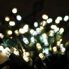 Shop For 50 5mm Champagne Warm White, Pure White, Cool White LED Christmas Lights, 6" Spacing