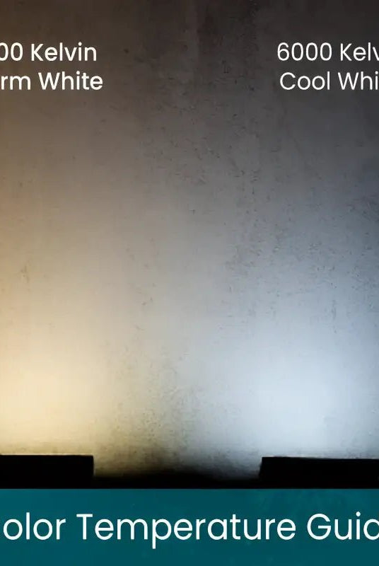 Shop For 50 5mm Champagne Warm White, Pure White, Cool White LED Christmas Lights, 6" Spacing