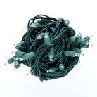 Shop For 50 5mm Champagne Warm White, Pure White, Cool White LED Christmas Lights, 6" Spacing