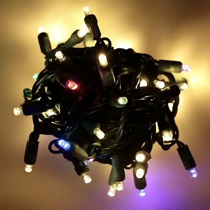Shop For 50 5mm ColorSplash Treasure Warm White/RGB Smooth Fading LED Christmas Lights, 6" Spacing