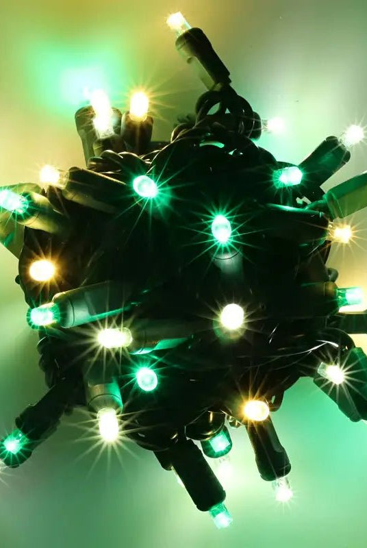 Shop For 50 5mm ColorSplash Winter Warm White, Cool White, Green LED Christmas Lights, 6" Spacing