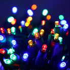 Shop For 50 5mm Multicolor LED Christmas Lights, 4" Spacing