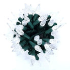 Shop For 50 C6 Cool White LED Christmas Lights, 4" Spacing