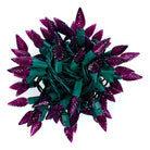 Shop For 50 C6 Purple LED Christmas Lights, 4" Spacing