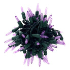 Shop For 50 M5 Purple LED Christmas Lights, 4" Spacing