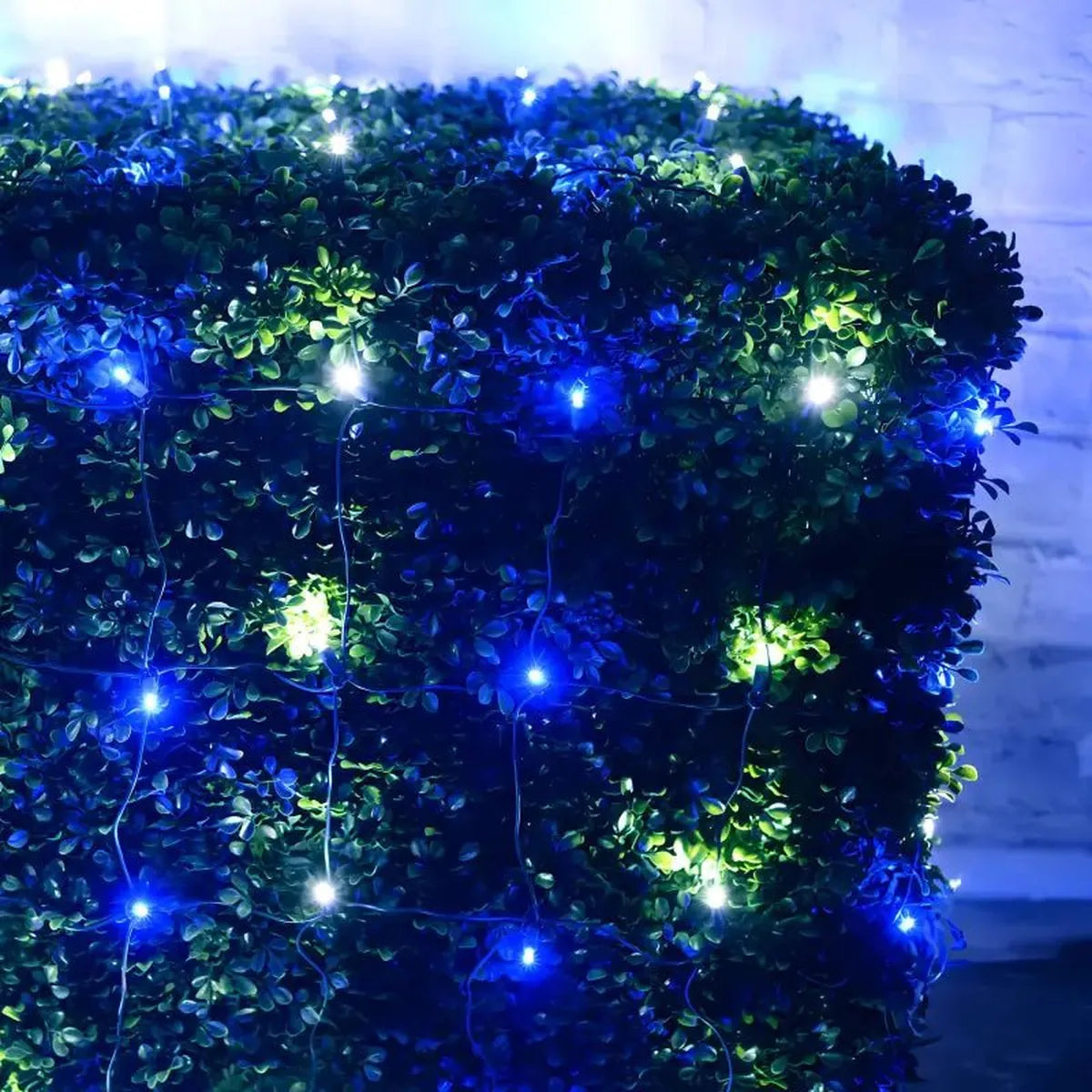 Shop For 5mm 4' x 6' Blue, Cool White LED Net Lights