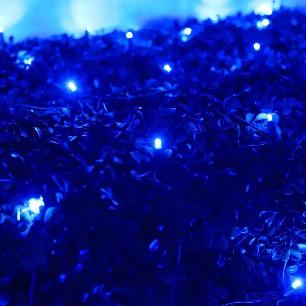 Shop For 5mm 4' x 6' Blue DreamSpark Smooth Fade LED Net Lights