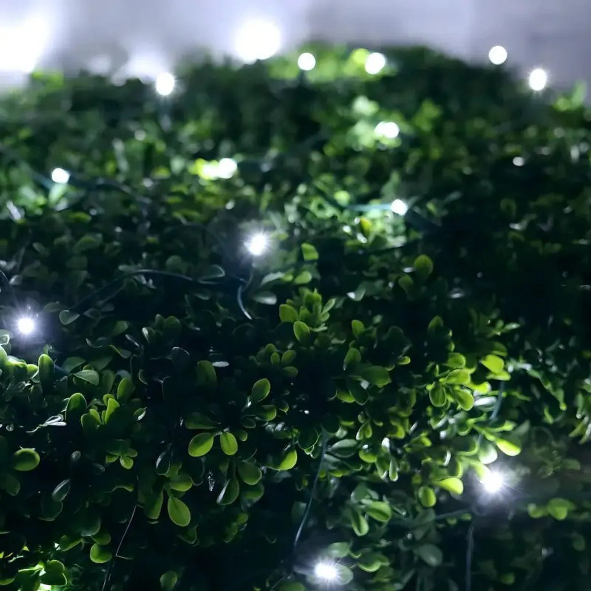 Shop For 5mm 4' x 6' Cool White DreamSpark Smooth Fade LED Net Lights