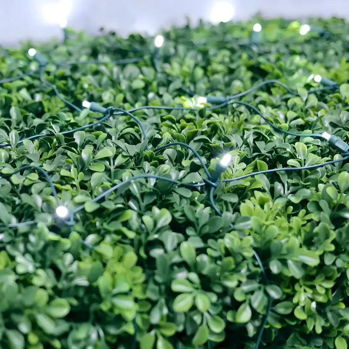 Shop For 5mm 4' x 6' Cool White Twinkle LED Net Lights