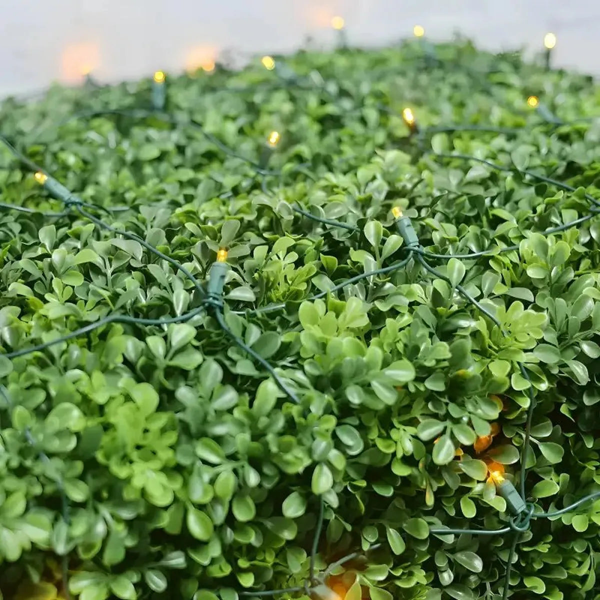 Shop For 5mm 4' x 6' Gold DreamSpark Smooth Fade LED Net Lights