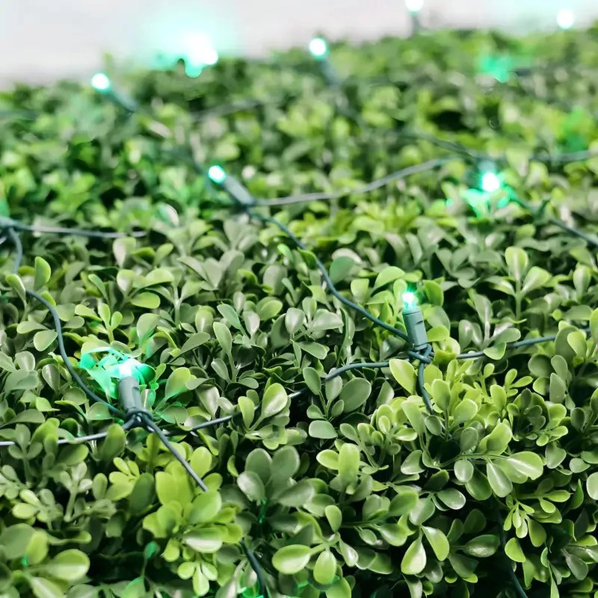 Shop For 5mm 4' x 6' Green DreamSpark Smooth Fade LED Net Lights