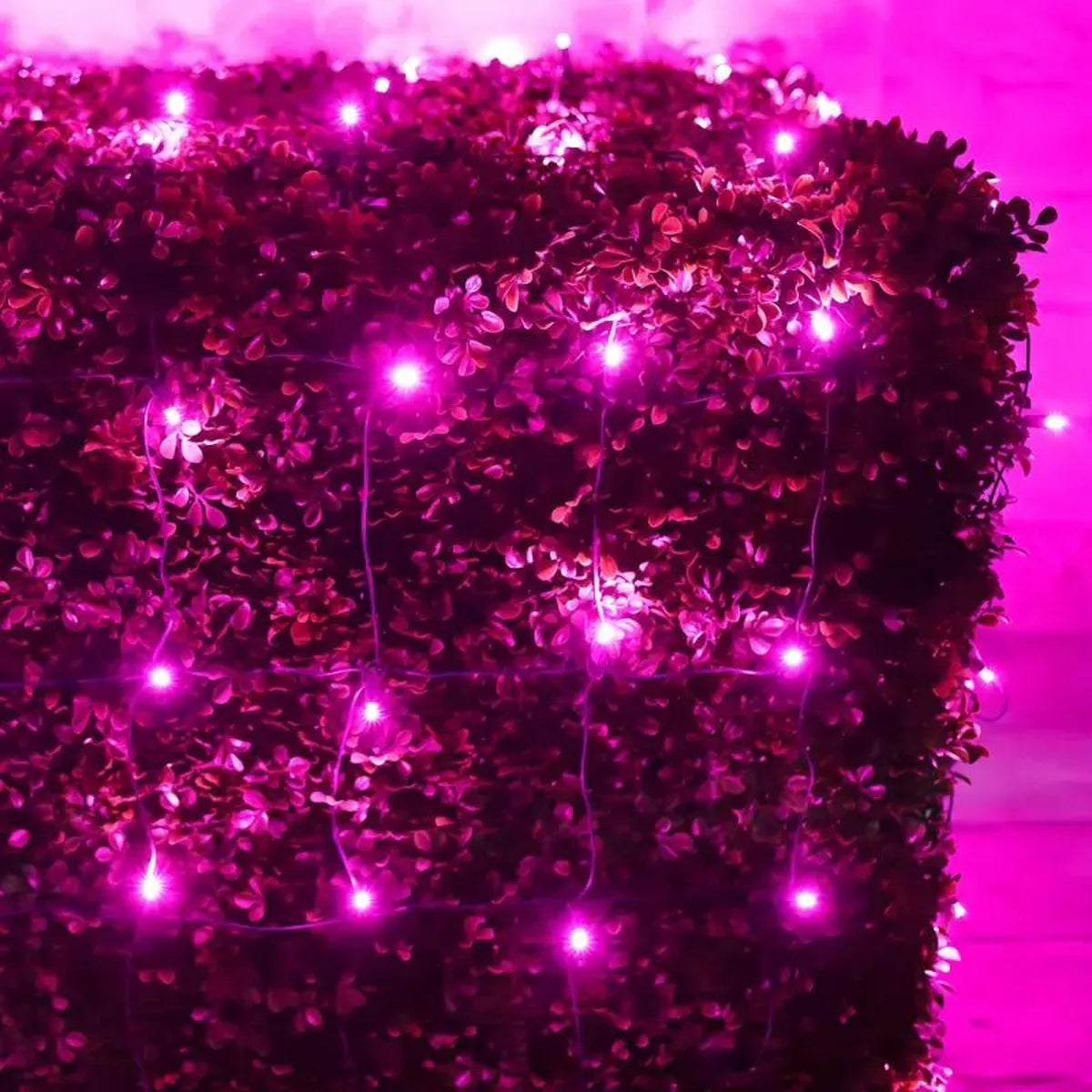 Shop For 5mm 4' x 6' Pink LED Net Lights