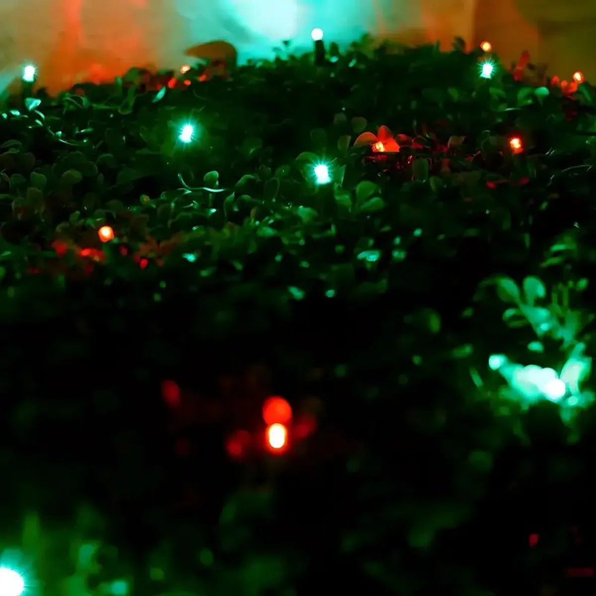 Shop For 5mm 4' x 6' Red, Green LED Net Lights